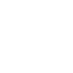icon tribe of noise